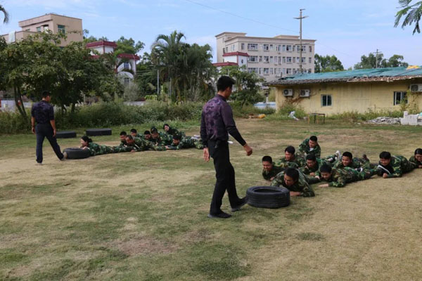 诸侯快讯新能源_厚积薄发_赢胜2021(图7)