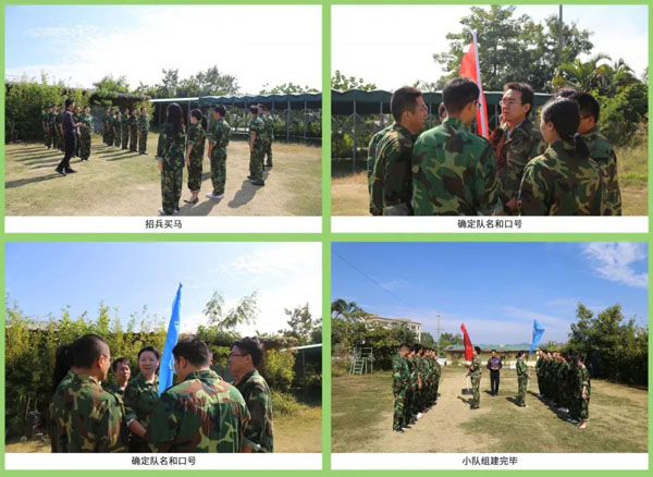 诸侯快讯新能源_厚积薄发_赢胜2021(图4)