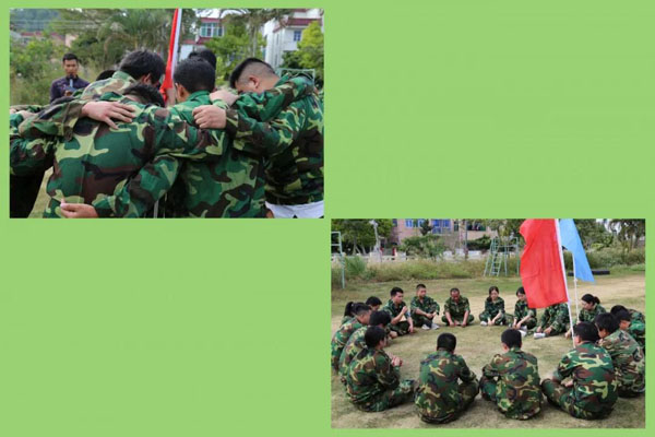 诸侯快讯新能源_厚积薄发_赢胜2021(图9)