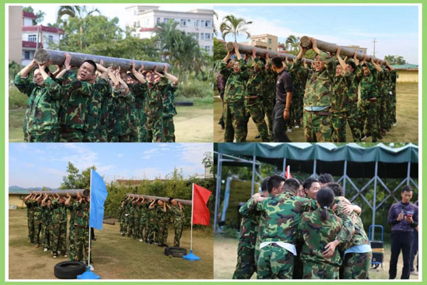 诸侯快讯新能源_厚积薄发_赢胜2021(图10)